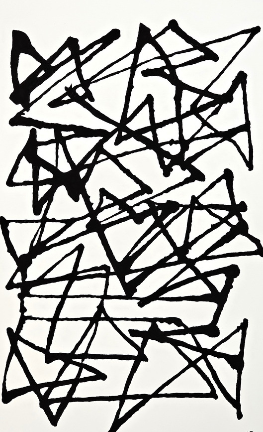 n. 98 cm. 40×60 web1